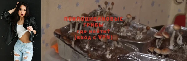 МДПВ Кодинск